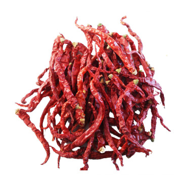 Высокое качество и Red Yidu Chili для продажи